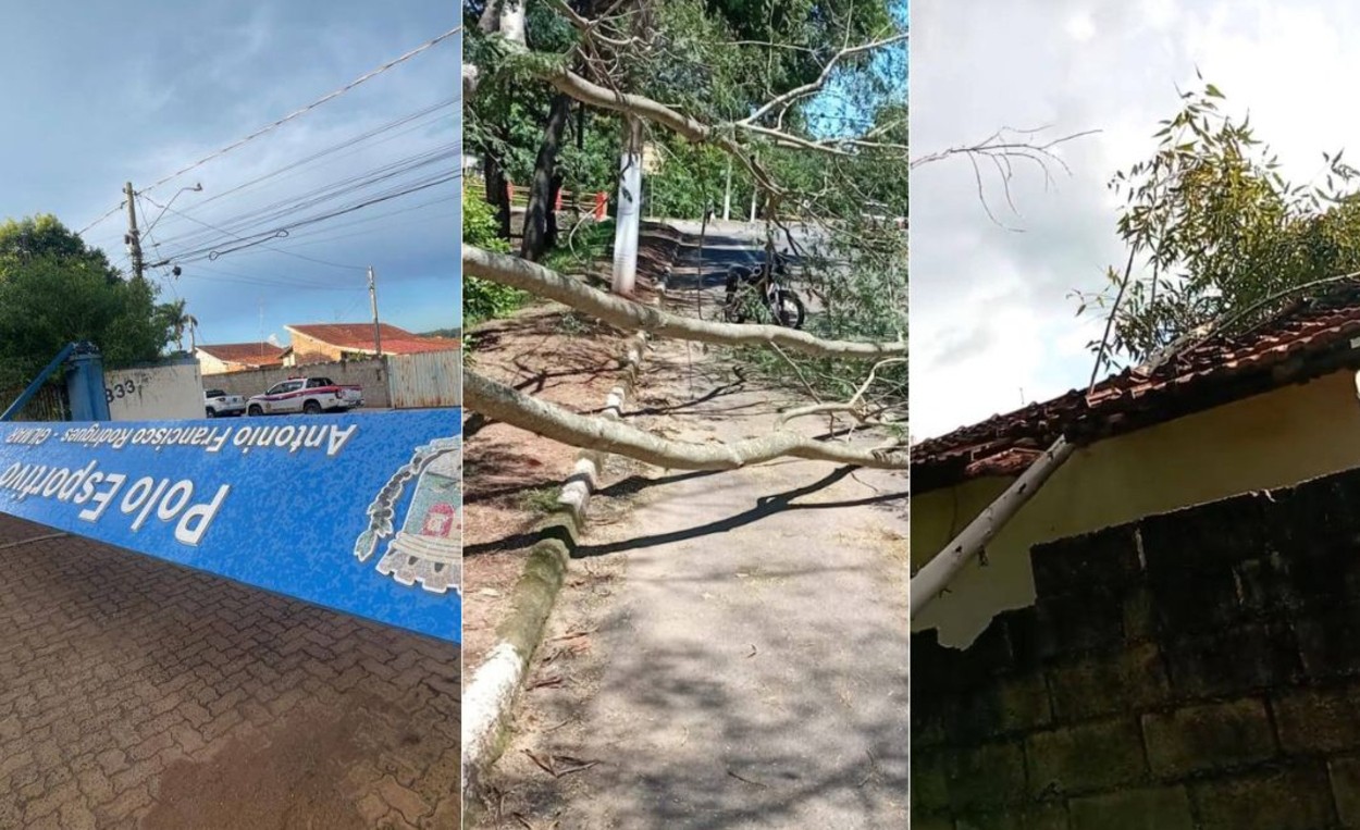 Ventos de mais de 70 km/h derrubam árvores, danificam telhados e carro no interior de SP 