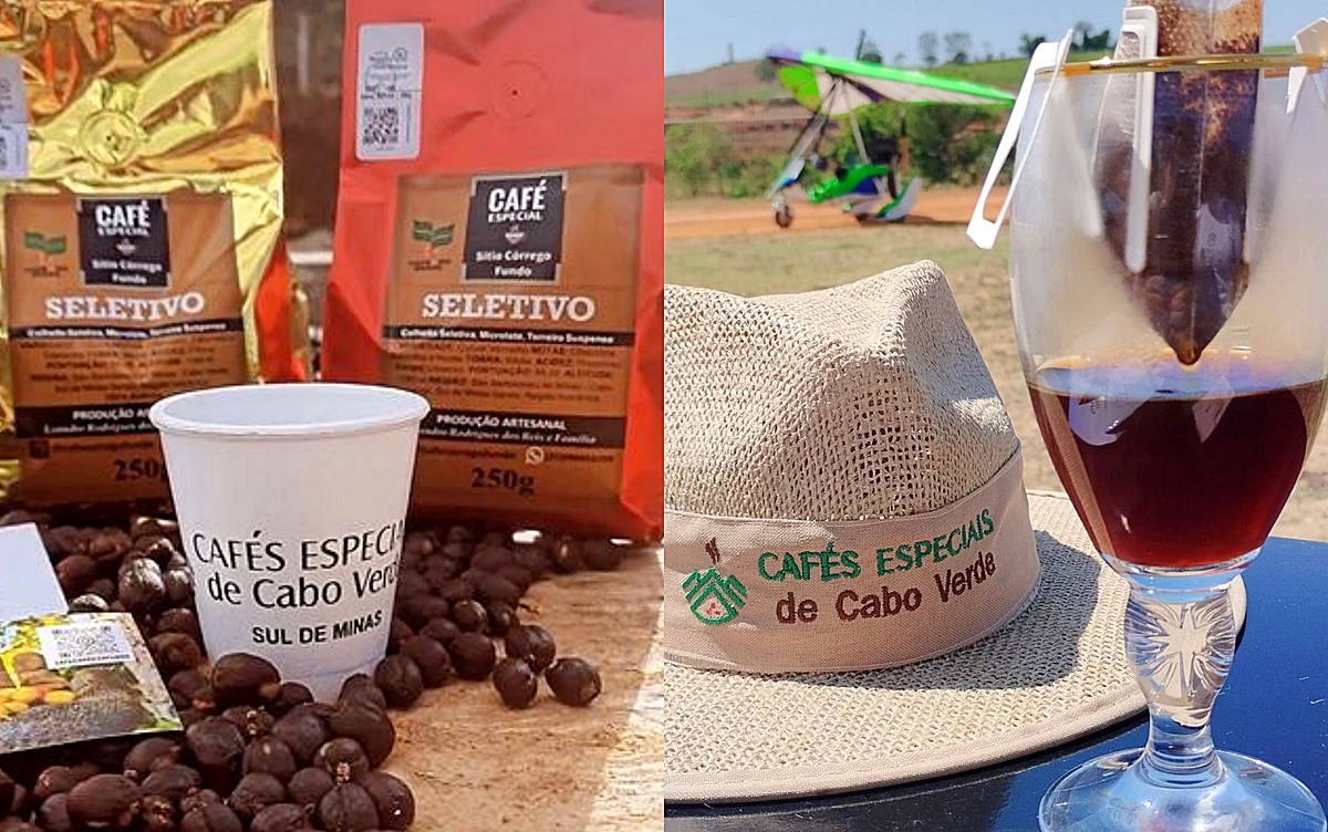 Com degustação e oficinas, festival ensina ‘segredos da boa bebida’ na Terra dos Cafés Especiais, em MG | Sul de Minas