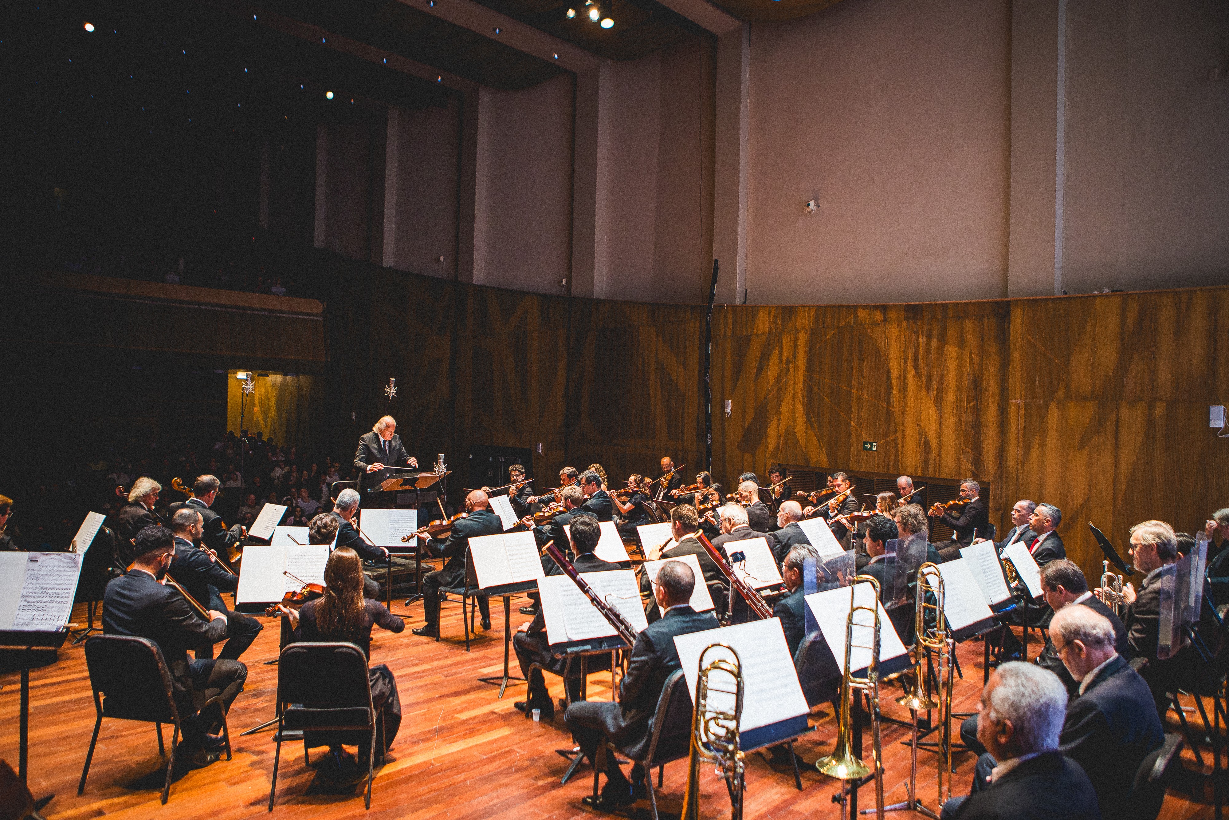 Super Mario, Sonic, Tchaikovsky: Orquestra Petrobras Sinfônica faz concertos em SP com repertório clássico e de trilhas de games
