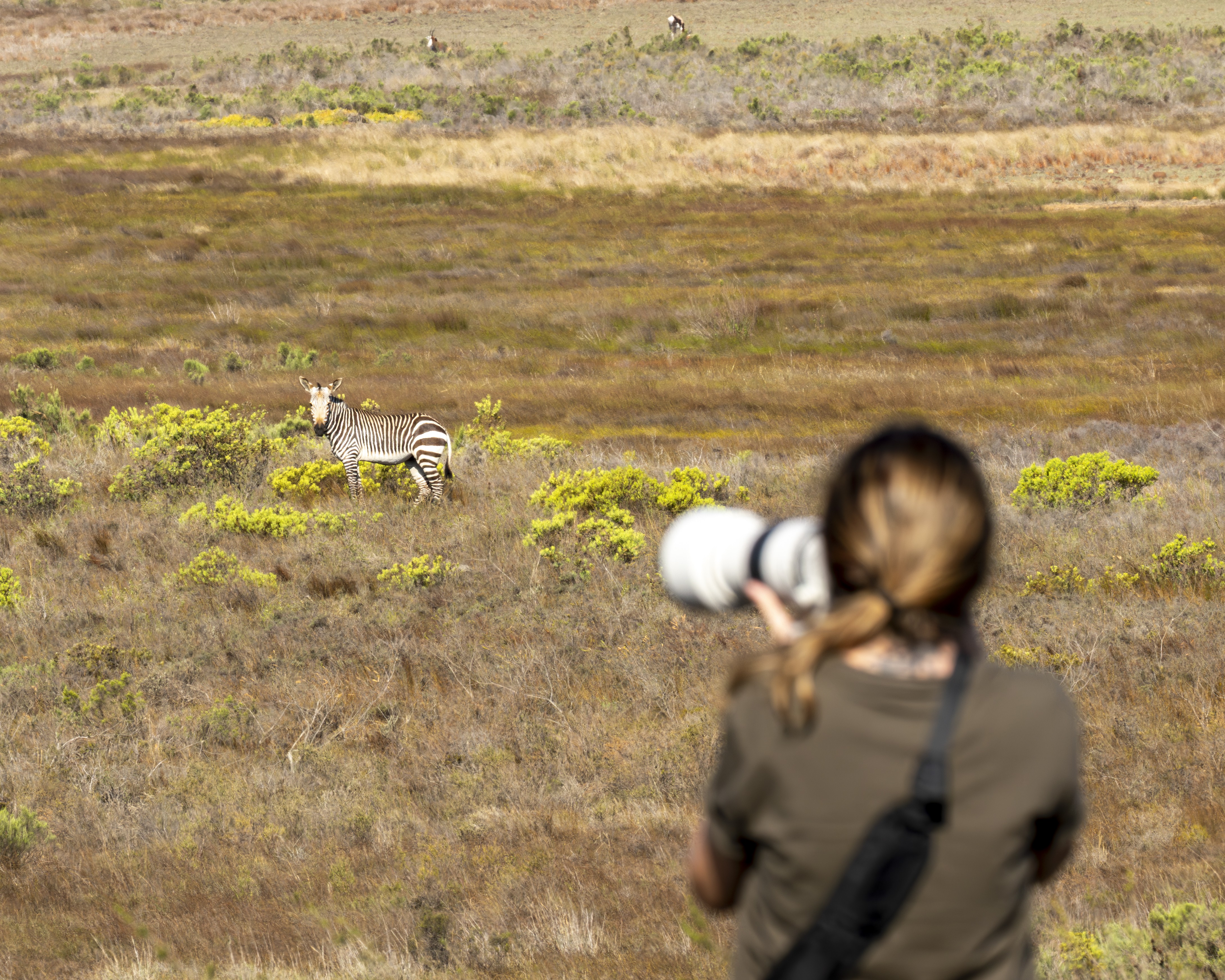 FOTOS: Brasileira fotografa a beleza e a brutalidade da vida selvagem na África