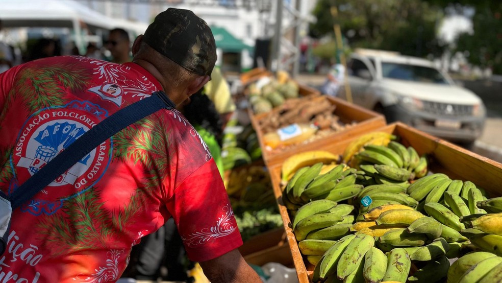 Feira Tucuju da Agricultura Familiar será realizada em Macapá na quarta-feira (3). — Foto: Divulgação