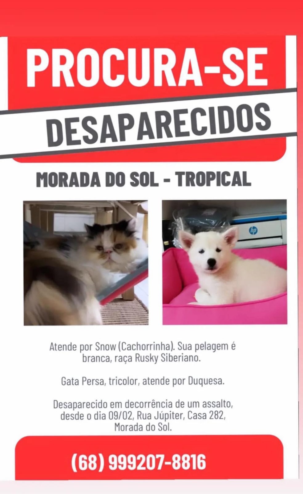 Animais provavelmente foram levados durante assalto em Rio Branco — Foto: Divulgação