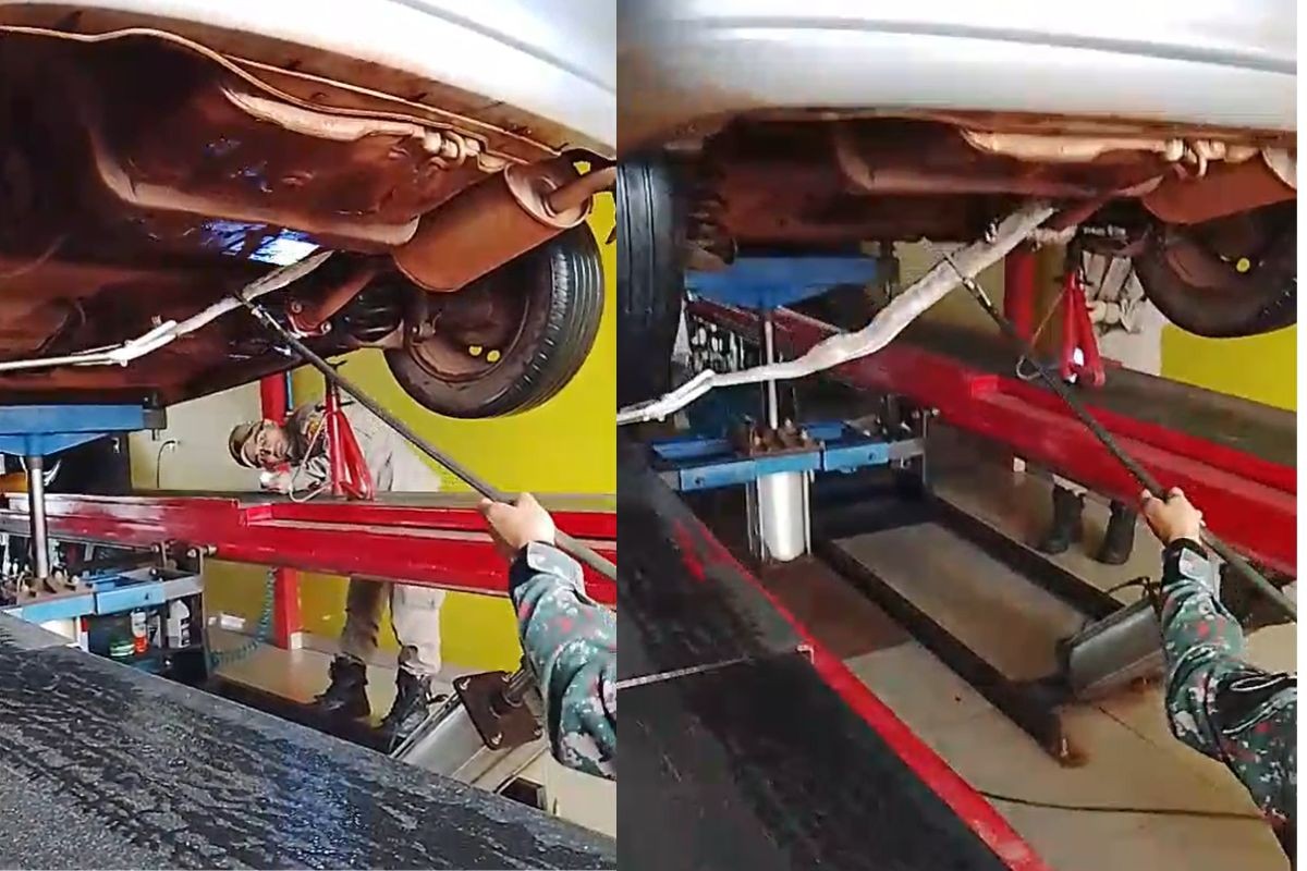 VÍDEO: cobra 'pega carona' e é resgatada de carro em Dourados