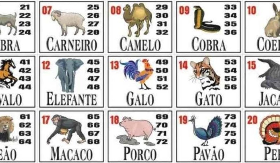 Jogo do bicho é considerado pela legislação como uma contravenção penal. — Foto: Reprodução