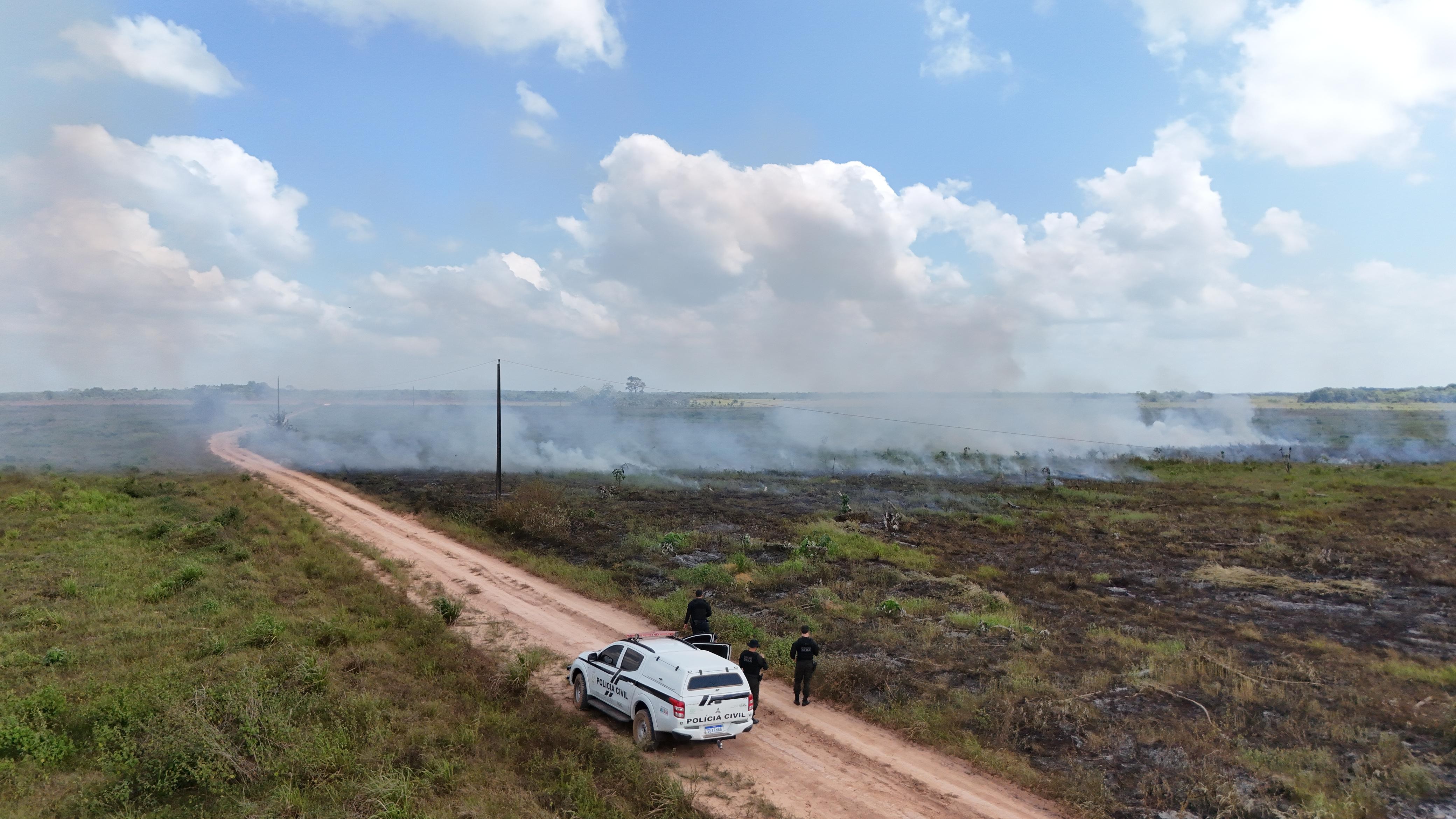 Dupla é indiciada por atear fogo em floresta no Amapá para capturar ovos de quelônios