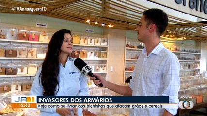 Veja como se livrar dos bichinhos que atacam grãos e cereais