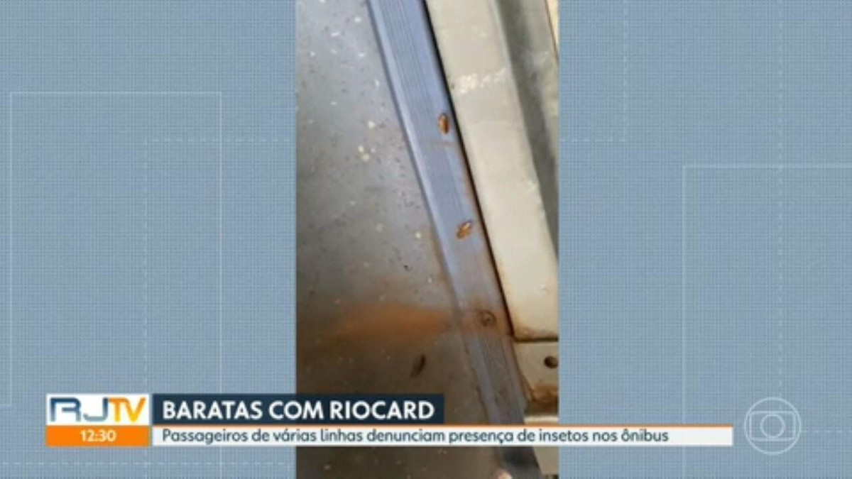 Passageiros denunciam presença de baratas nos ônibus