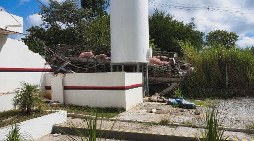 VÍDEO: Caminhão carregado com porcos capota, atinge casa e mata mulher grávida na Grande BH 