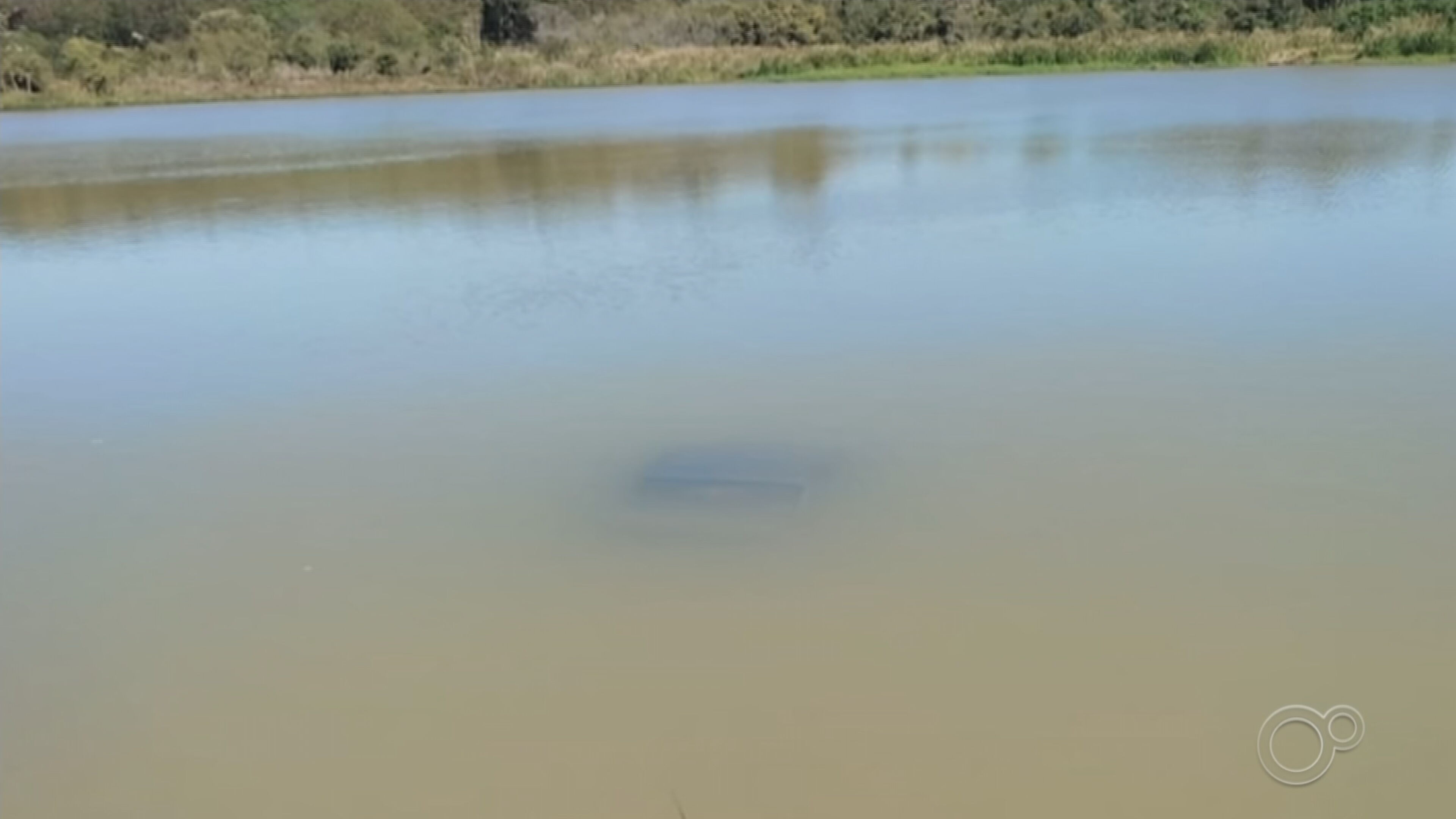 Motorista desvia de cão, cai em lago e carro fica submerso no interior de SP