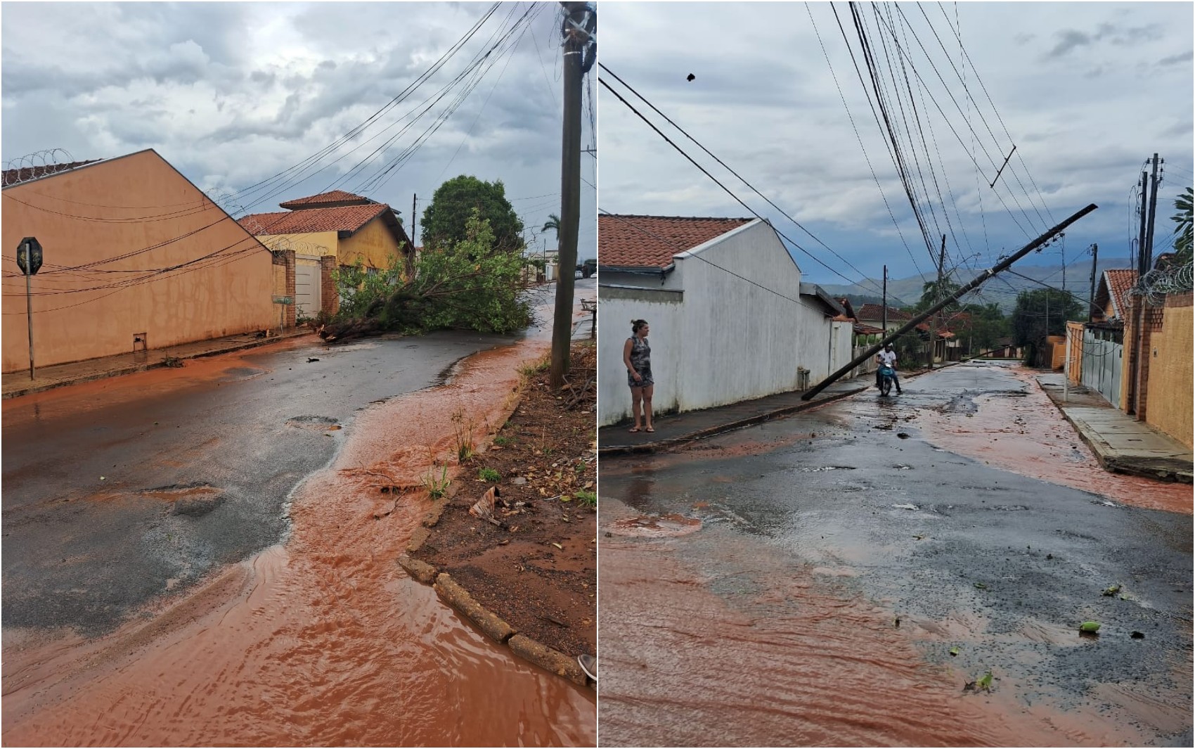 Chuva de 30 minutos derruba postes, árvores e destelha casa em Delfinópolis, MG