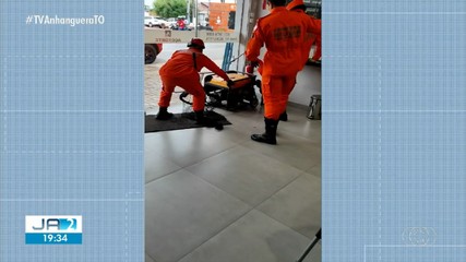 Corpo de Bombeiros é chamado para capturar macaco em loja de Colinas do Tocantins