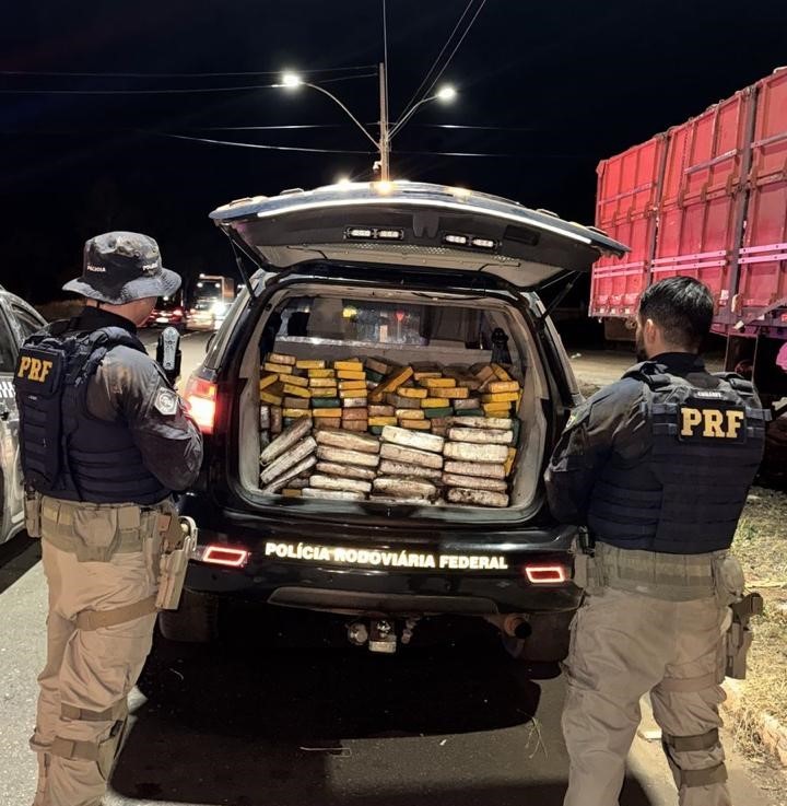 Polícia apreende 230 kg de drogas em caminhão na BR-316