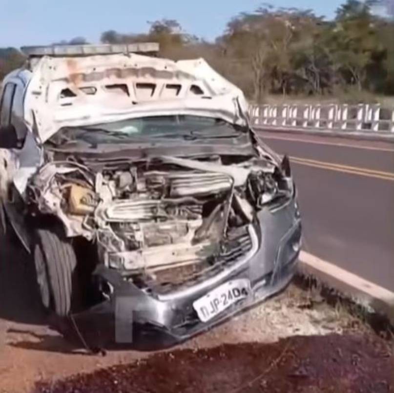 Viatura da Polícia Civil atropela anta em trecho da Rodovia Arlindo Béttio próximo ao Morro do Diabo, em Teodoro Sampaio