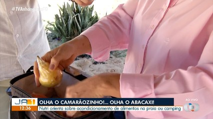 Entenda a maneira correta de armazenar alimentos na hora de levar para a praia