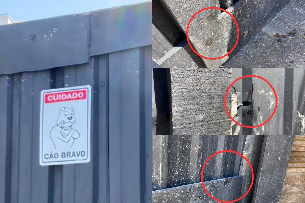 Homem é atacado por pit bull ao invadir obra protegida pelo cão no litoral de SP