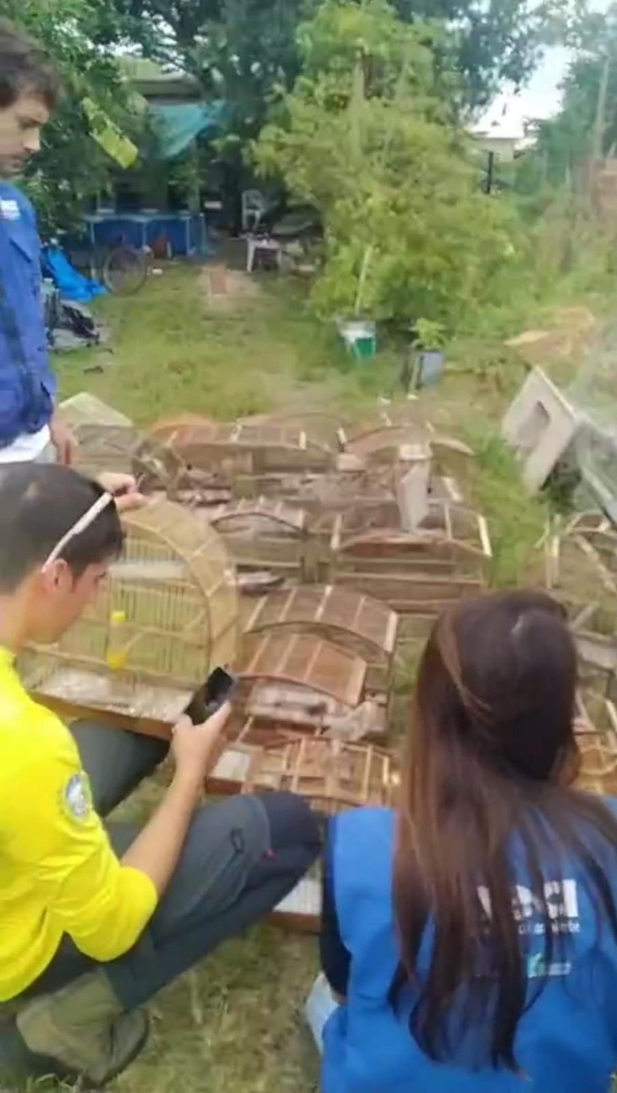 Gedam e Inea resgatam 36 pássaros mantidos em cativeiro irregular em Maricá