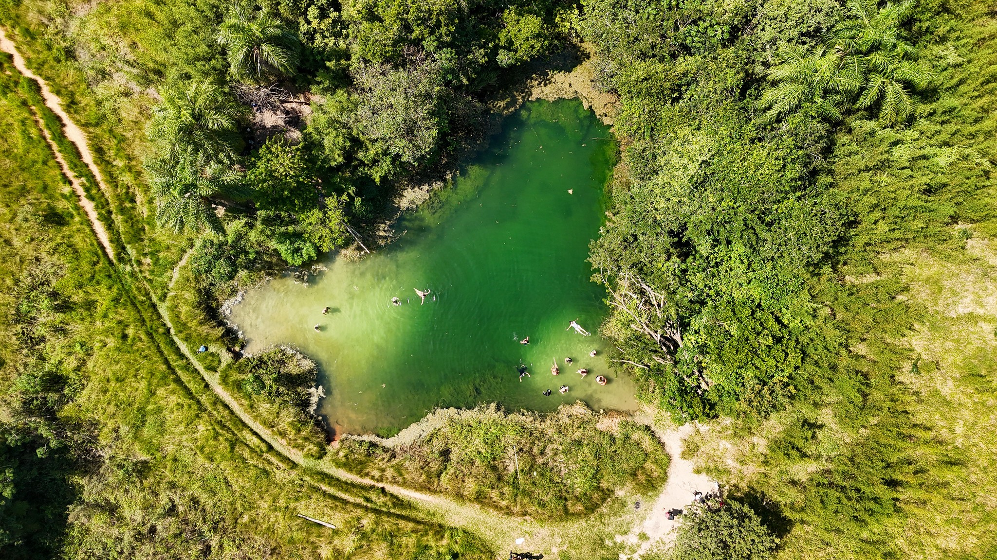 Tanquã: como barragem no Tietê criou 'minipantanal' paulista com área maior que Paris e rica em biodiversidade