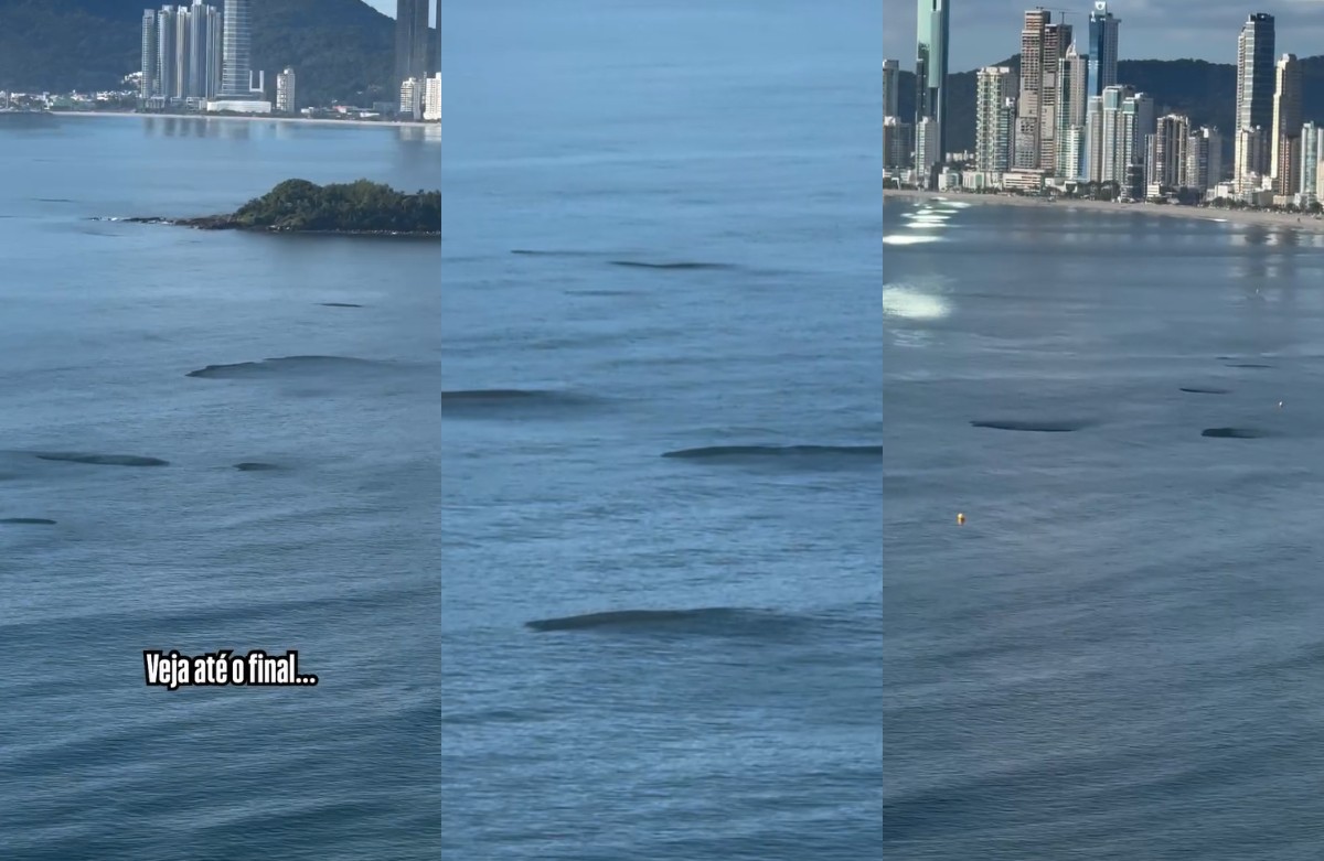 'Manchas' escuras surgem no mar em Balneário Camboriú, intrigam morador e prefeitura esclarece: 'Cardumes'; VÍDEO