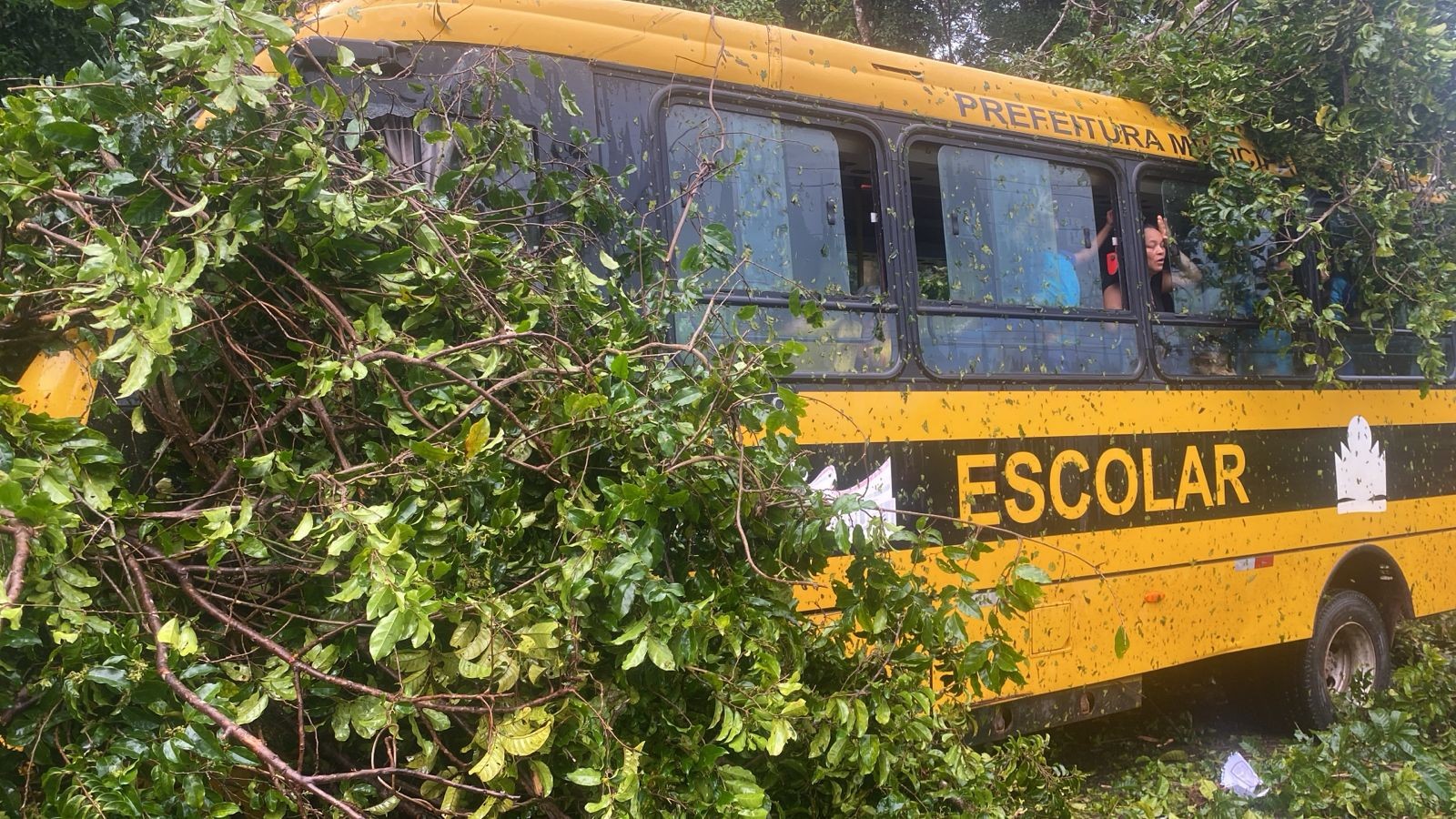 Árvore cai sobre ônibus escolar durante temporal em Quatipur