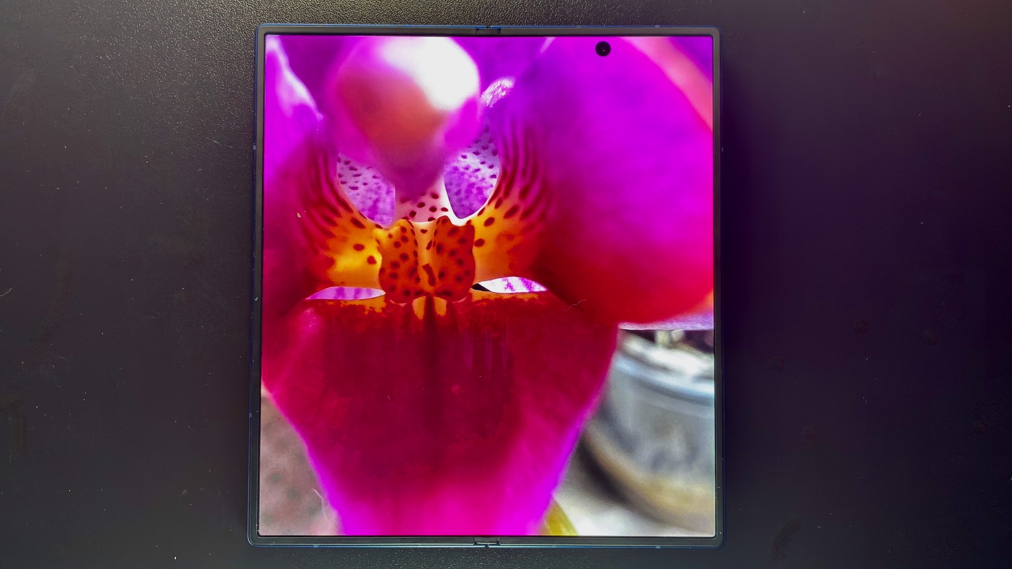 Samsung Galaxy Z Fold7 aberto com foto em tela inteira — Foto: Henrique Martin/g1