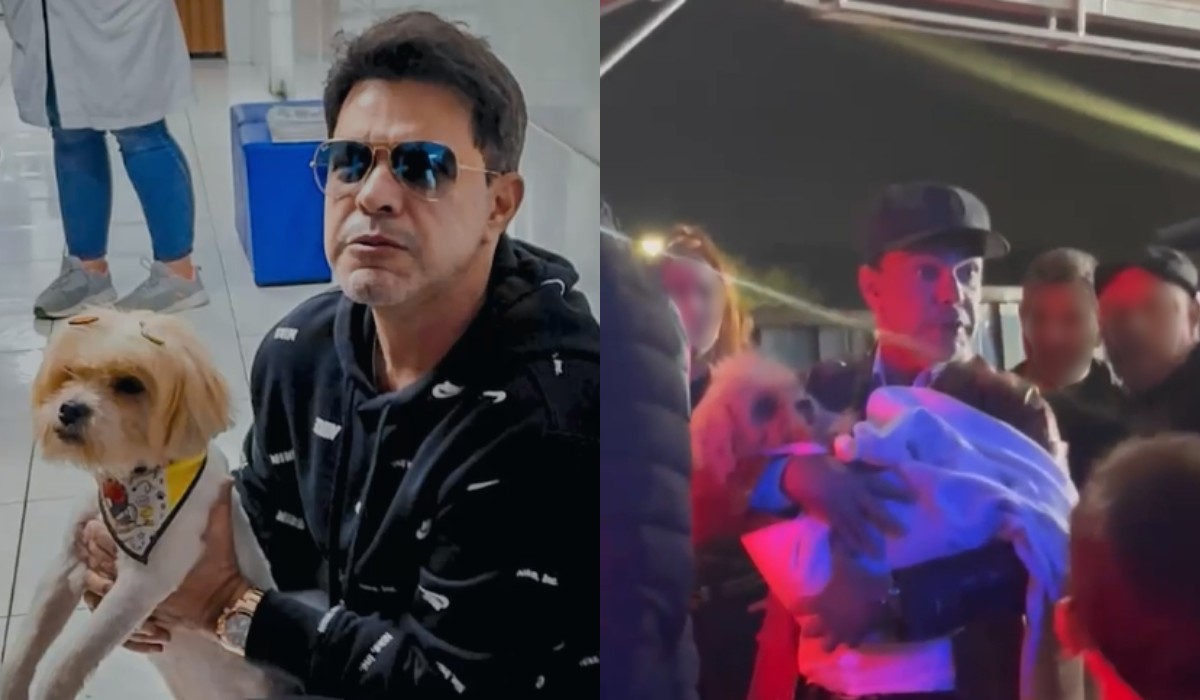 Cachorro aparece no camarim de Zezé Di Camargo durante show no interior de SP e acaba adotado pelo cantor: ‘Impossível não me apaixonar'