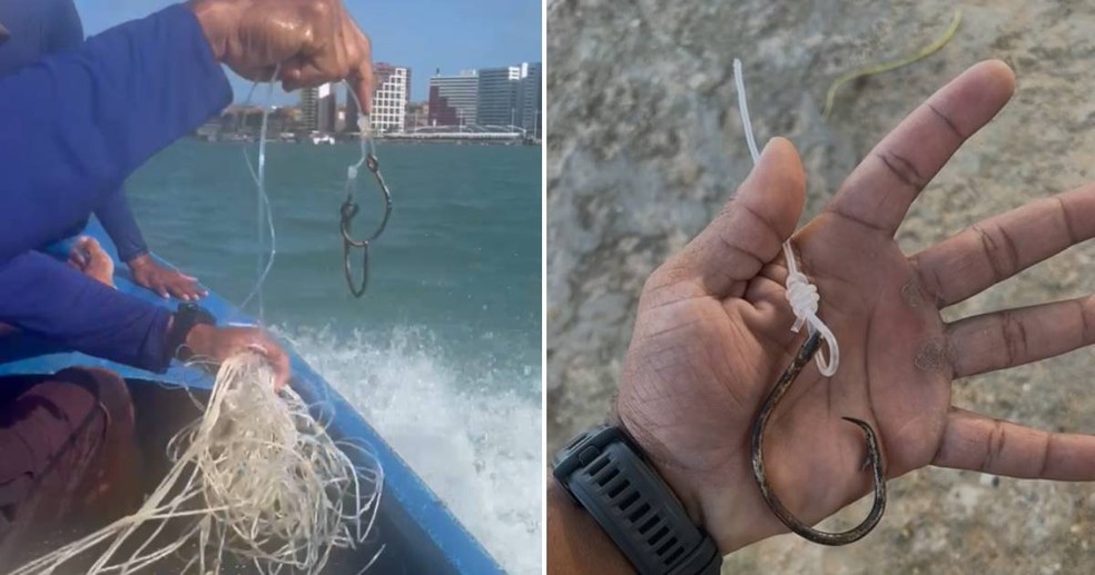 Rede de espinhel, feita com vários anzóis, estava presa na baleia-de-minke avistada em Fortaleza — Foto: Reprodução