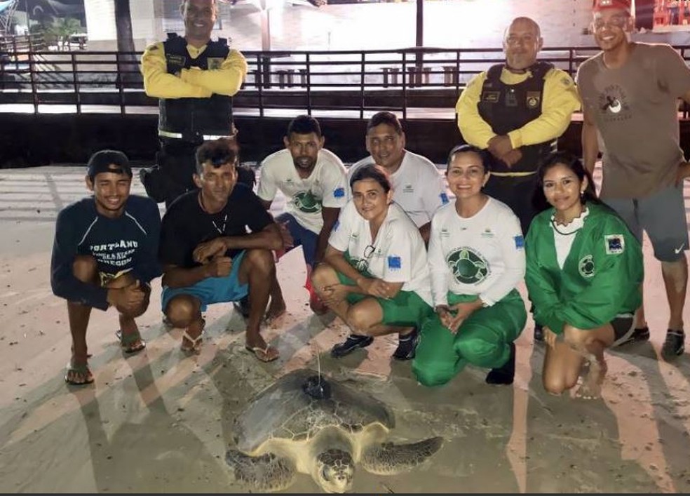 Tartaruga com transmissor e equipe responsável na praia do Atalaia  — Foto: Ideflor-bio/Divulgação