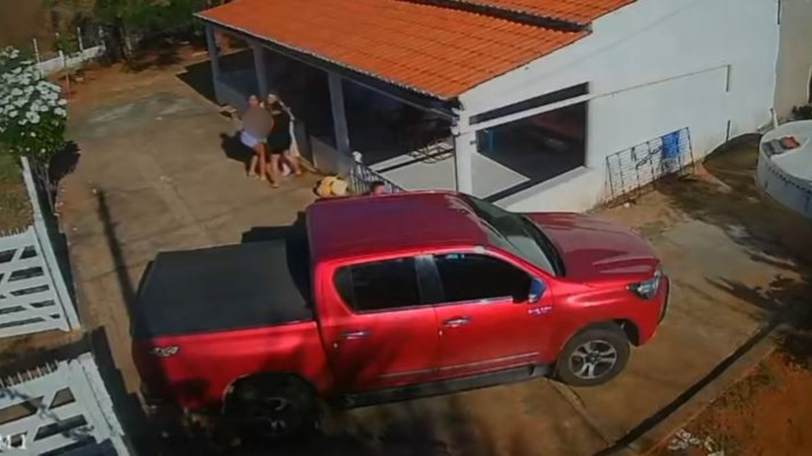 Idoso é picado por jararaca e socorrido incosciente no Ceará; vídeo