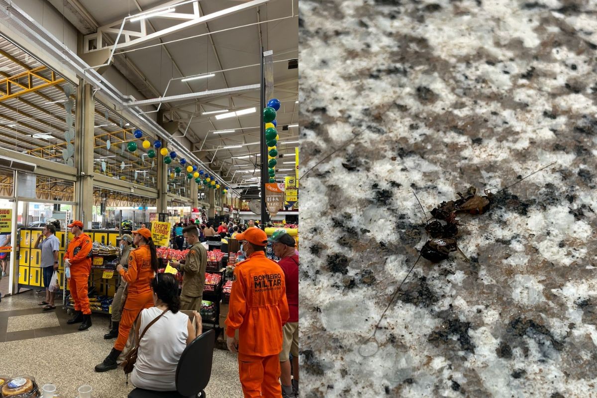 Enxame de abelhas fecha comércios e assusta moradores em Campo Grande