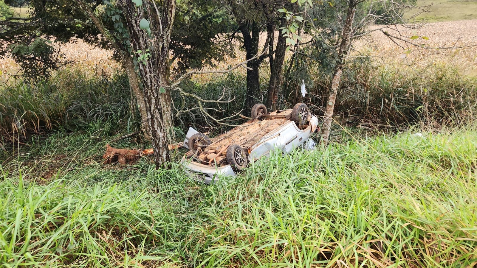 Motorista morre após carro capotar na MG-050, em Pimenta