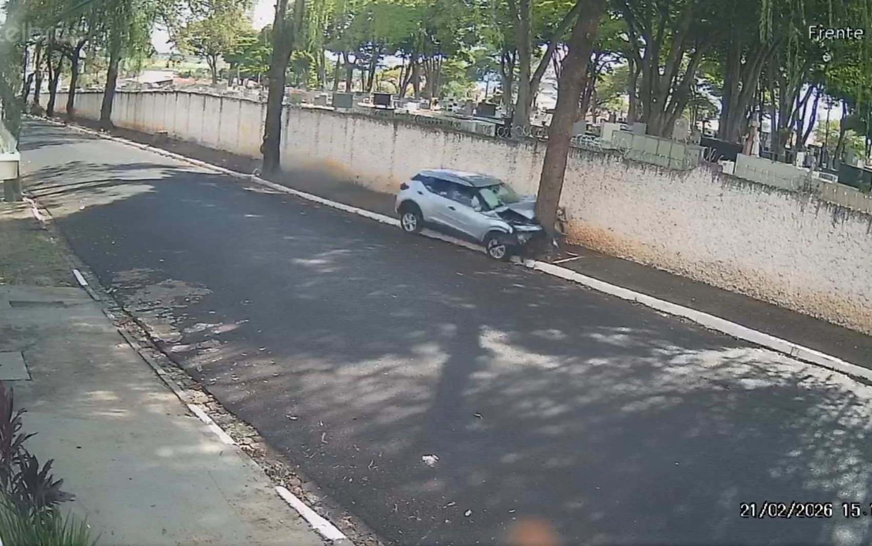 Jovem de 28 anos morre após carro bater em árvore em Franca, SP; VÍDEO