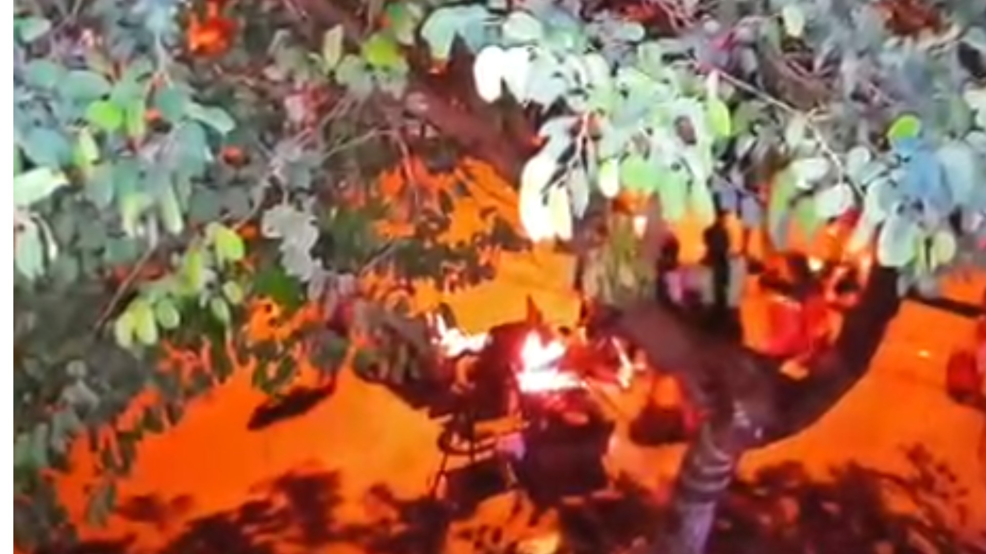 VÍDEO: mulher sentada em calçada é atropelada por motociclista sem habilitação e com sinais de embriaguez