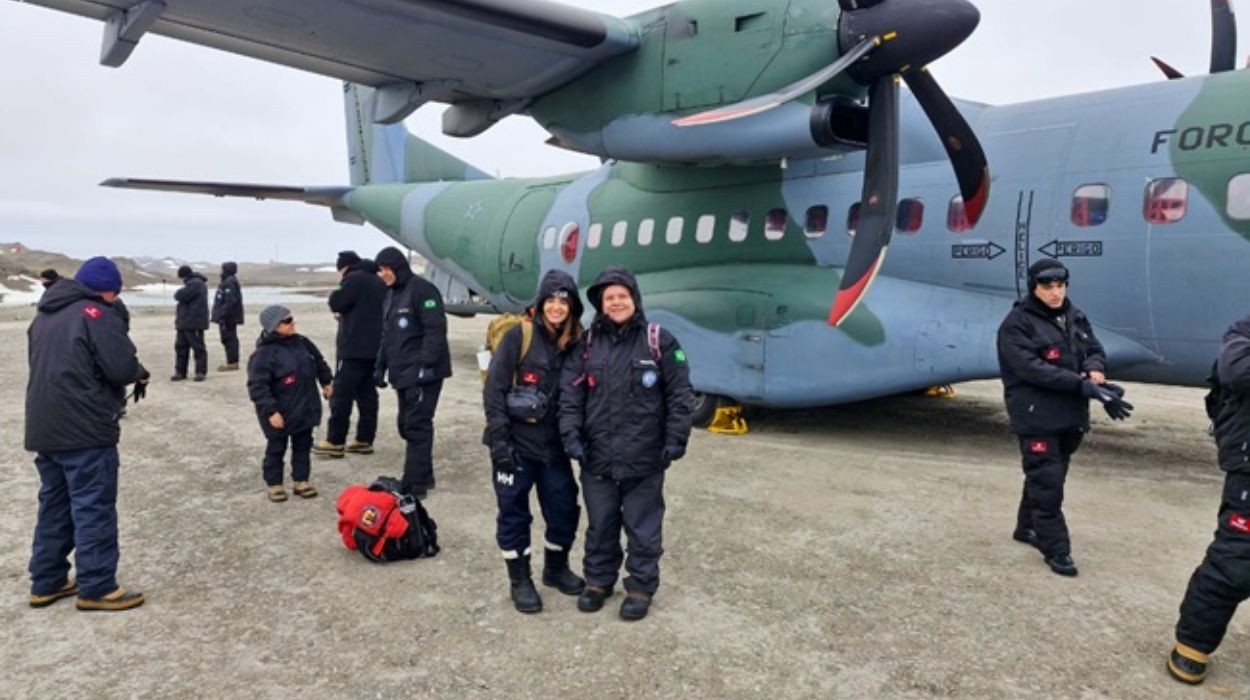Cientistas brasileiros buscam vírus, remédios e respostas na Antártica; veja como é a rotina
