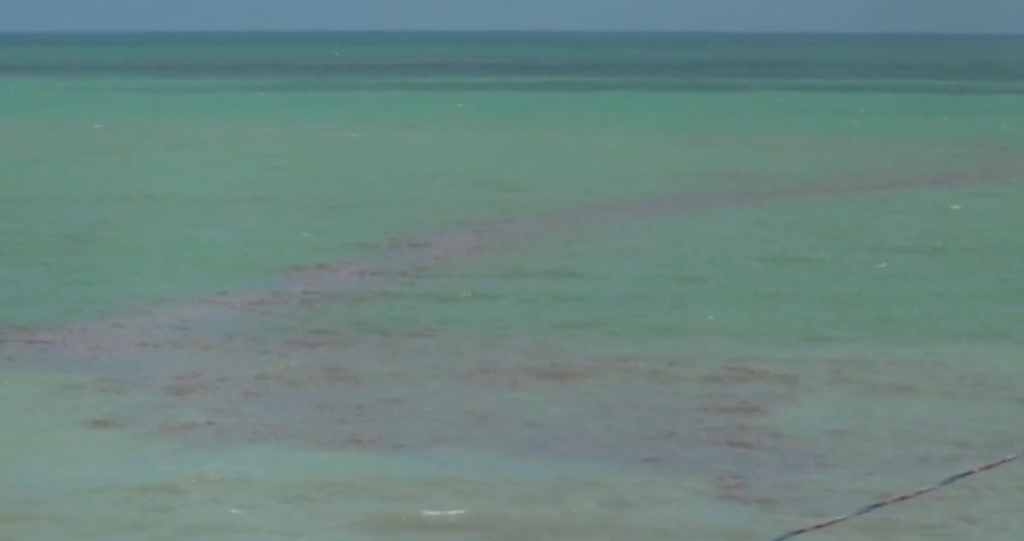 Manchas escuras em Ponta Negra foram causadas por 'florações'; entenda