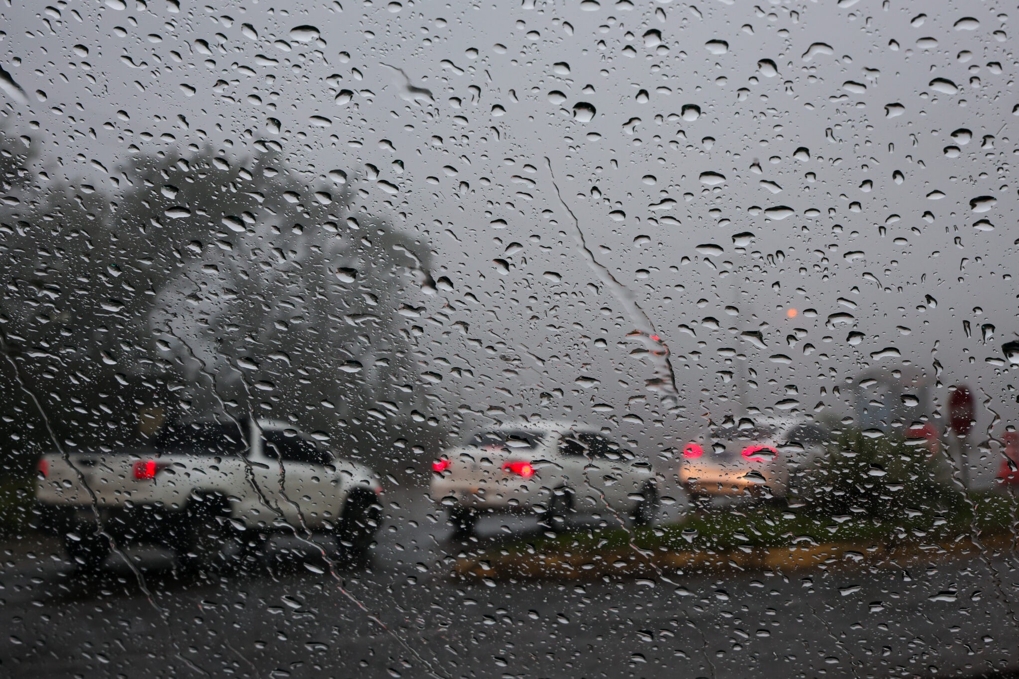Defesa Civil alerta para temporais e chuva de até 200 mm no fim de semana em SC; veja previsão
