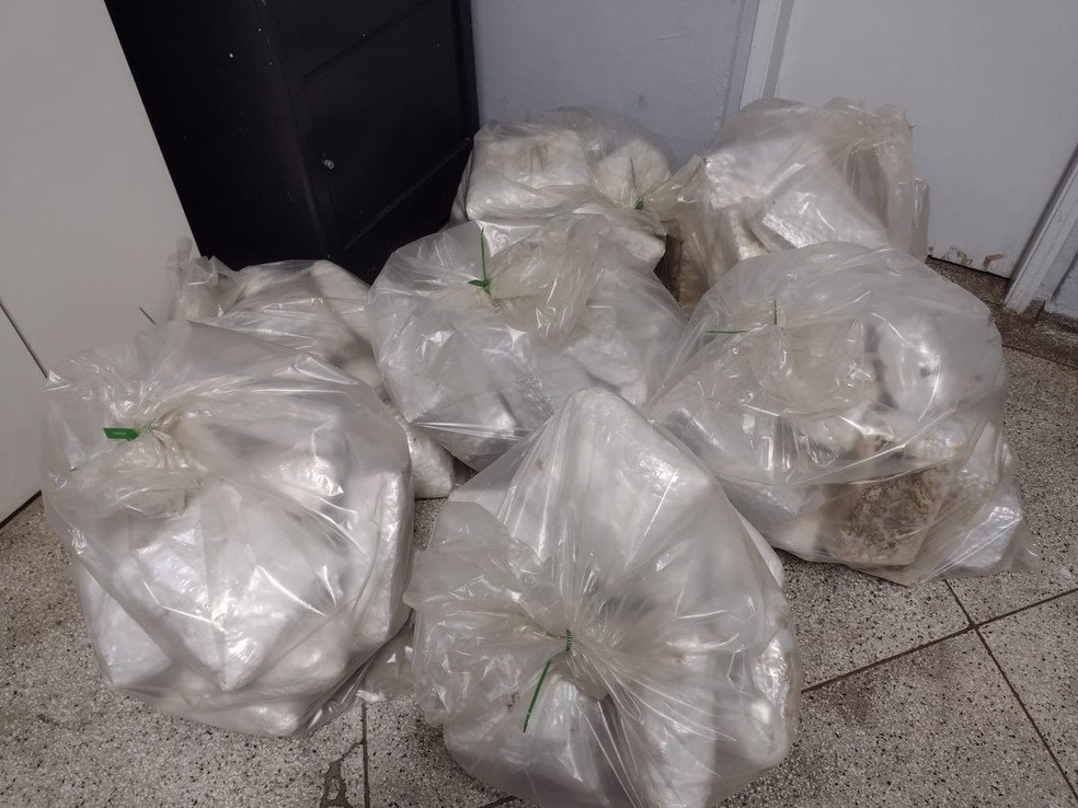 Polícia Rodoviária apreendeu 99 pacotes de skank e três tabletes de cocaína, em Presidente Prudente (SP) — Foto: Polícia Civil
