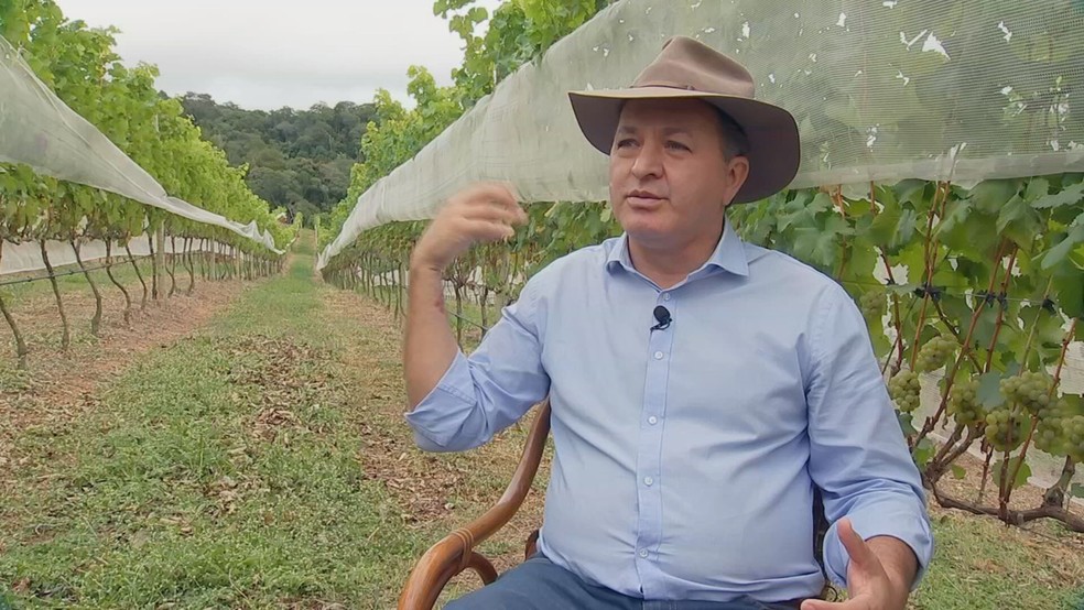 Leodir Ribeiro, presidente do Roteiro do Vinho de São Roque — Foto: Reprodução/TV TEM