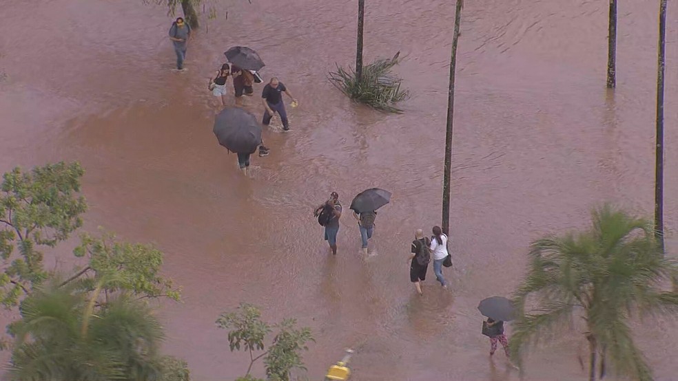 Pessoas circulando em meio à água suja do alagamento em Santo André, na Grande SP — Foto: Reprodução/TV Globo
