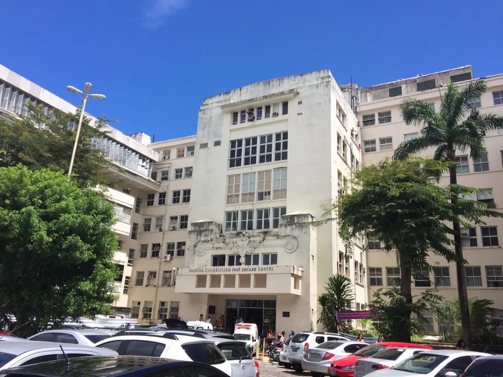 Programa oferece assistência especializada gratuita para pessoas interessadas em gestar em Salvador; veja como ter acesso
