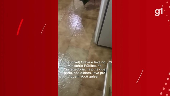 Vídeo mostra escrivã da Polícia Civil durante discussão em Carandaí