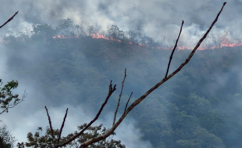 Fogo avança sem controle em Barra do Garças — Foto: Arquivo pessoal