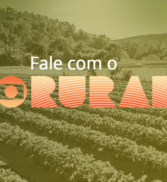 Globo Rural - O primeiro #GloboRural foi exibido no dia 06 de janeiro de  1980. Nossa equipe agradece a todos pelos 37 anos de parceria!