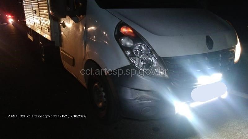 Gado solto na pista provoca acidente na Rodovia Raposo Tavares em Alambari 