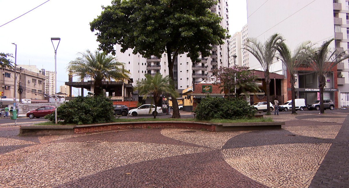 Soluções de segurança para a Praça da Bicota são discutidas em ...