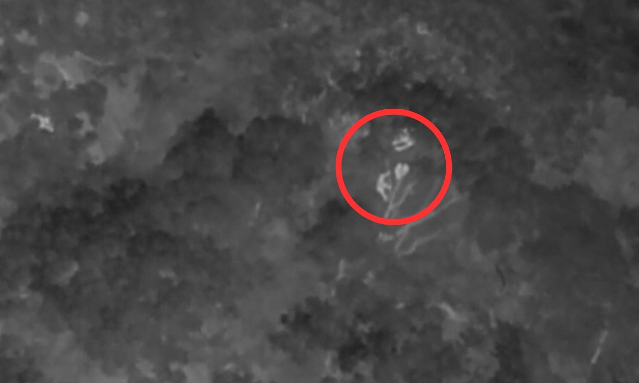 Drone térmico revela mais de 60 muriquis escondidos na floresta em MG