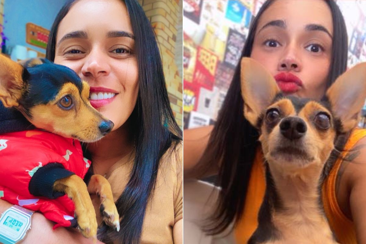 Pinscher atacado por pit bull morre um dia após completar 6 anos em SP