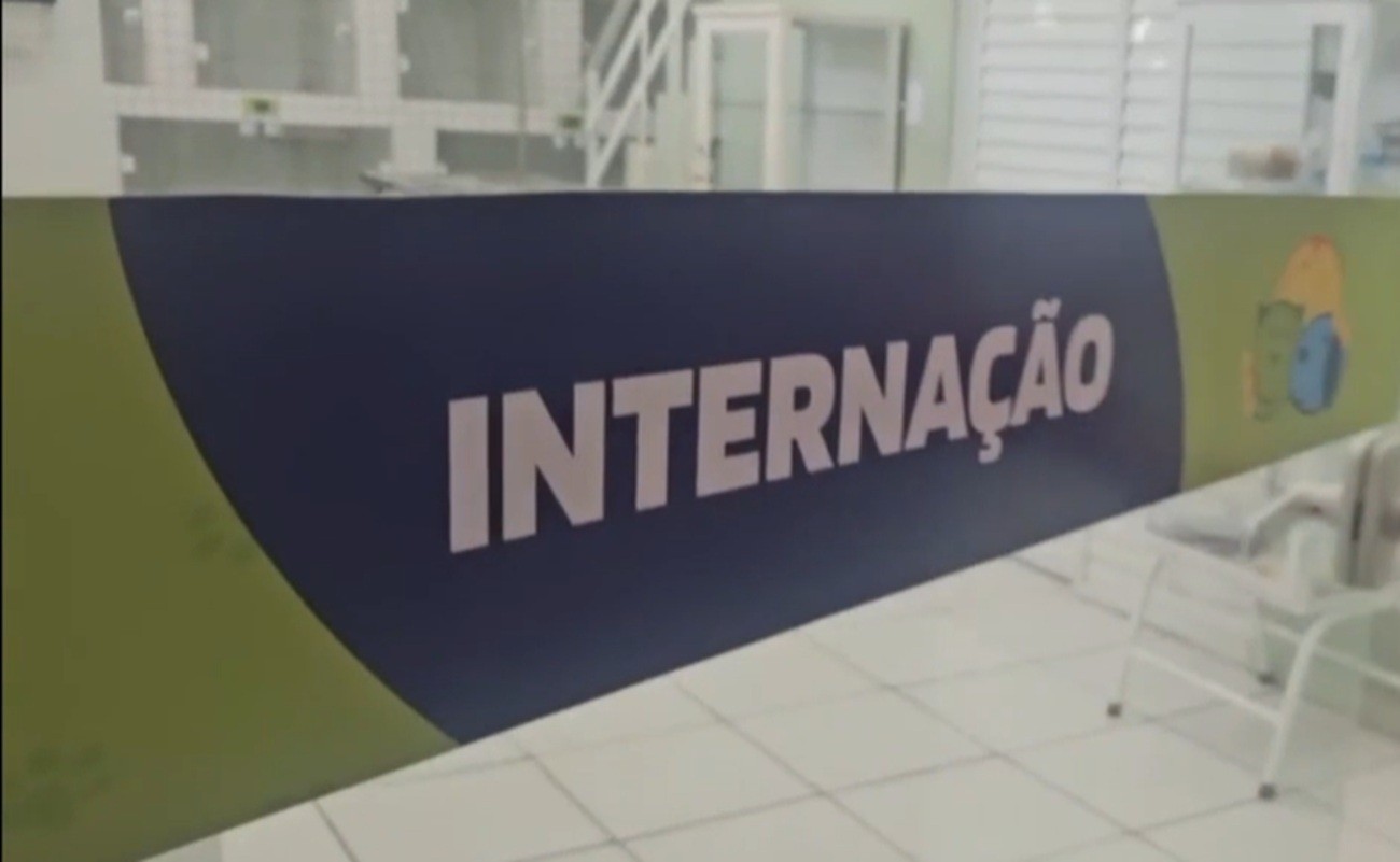 Nova Friburgo passa a oferecer atendimento veterinário 24 horas para cães e gatos em situação de vulnerabilidade