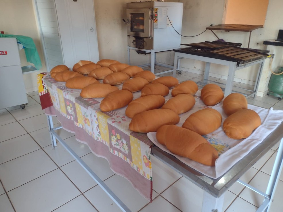 Pães de bocaiuva produzidos no assentamento São Manoel — Foto: Arquivo Pessoal