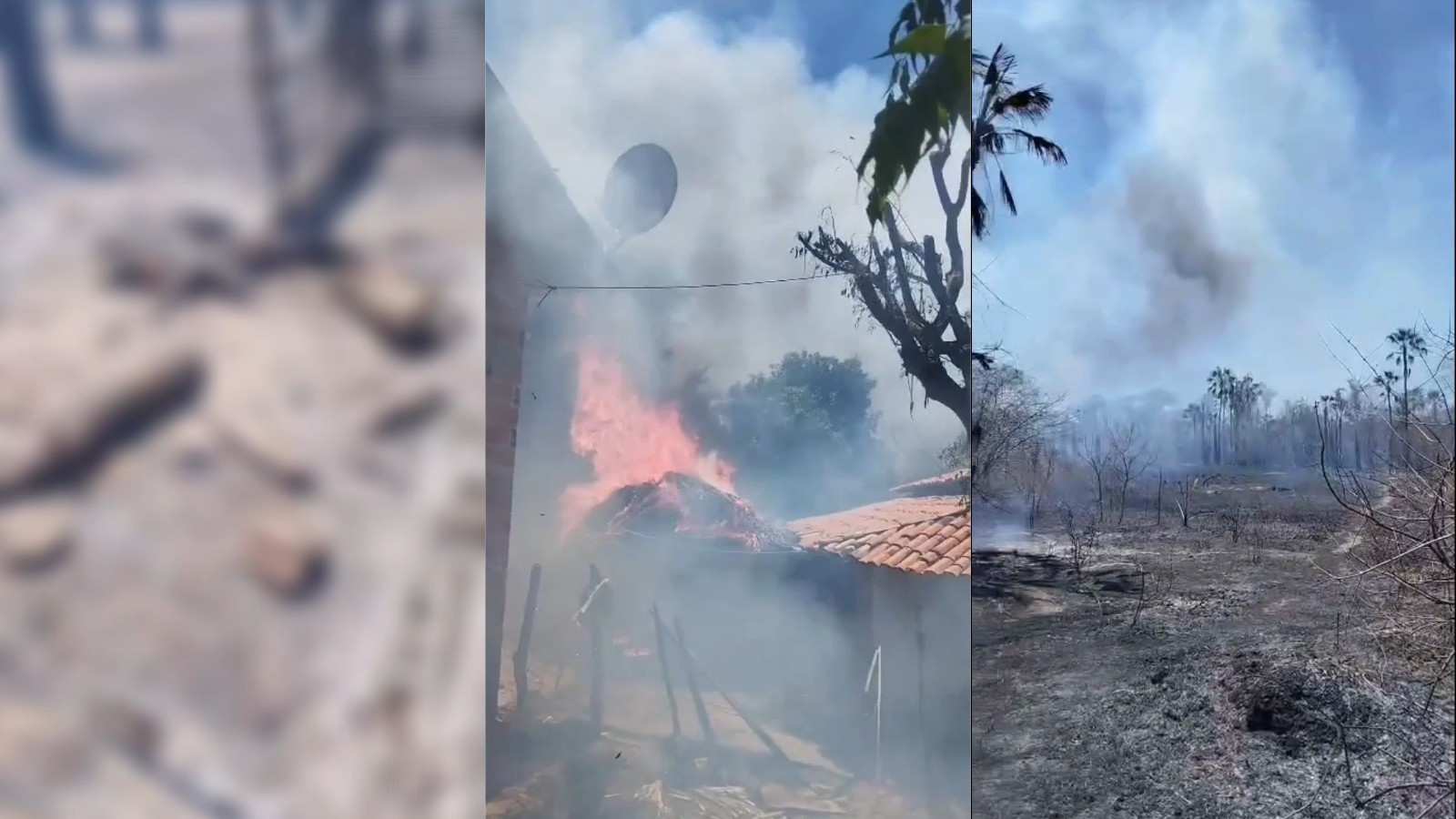 VÍDEO: Fogo em área de vegetação mata animais e destrói propriedade no PI