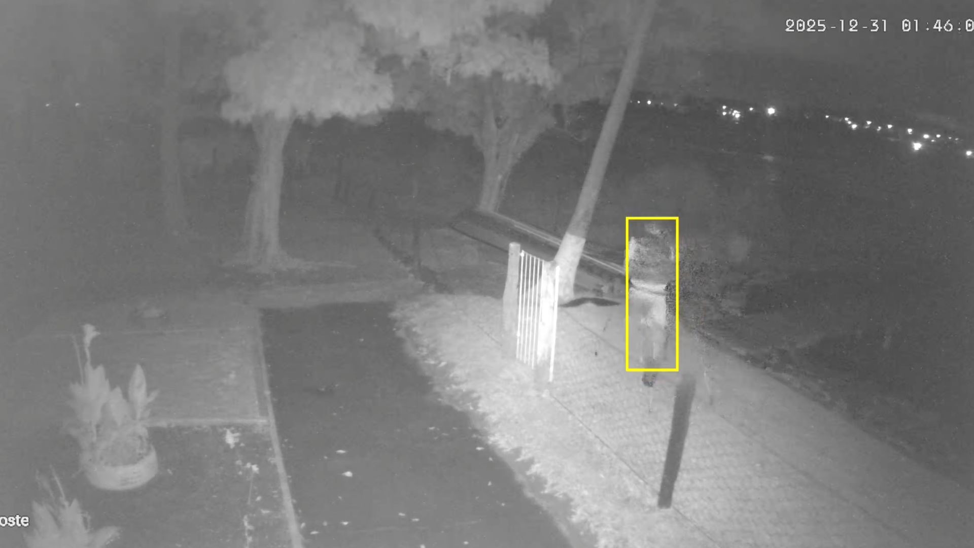 VÍDEO: suspeito é flagrado usando muletas durante furto de barco em rancho no interior de SP